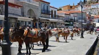 Κεραυνός προκάλεσε φωτιά στην Ύδρα-Σε ύφεση το μέτωπο