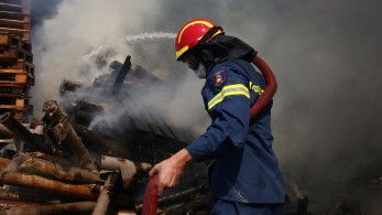 Λογγίτσι Φθιώτιδας: Η φωτιά οριοθετήθηκε, δεν υπάρχουν εστίες