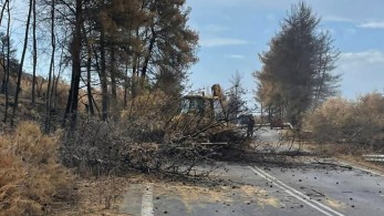 Σε εξέλιξη οι καθαρισμοί δρόμων και τα έργα υλοτομίας στα καμένα της Εύβοιας