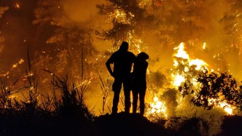 Εύβοια: Το ένα τρίτο των δασών έγινε στάχτη