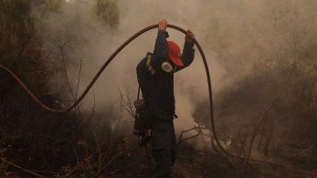 Γερμανός πυροσβέστης: Τι συνάντησα στις φωτιές στην Ελλάδα- Επαγγελματίες οι Έλληνες συνάδελφοι