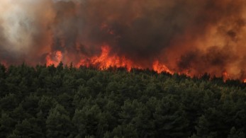 Οι πρόσφατες πυρκαγιές στην Αττική έκαψαν το 16% των δασών της