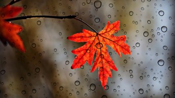 Καιρός: Ψύχρα, βροχές και καταιγίδες-Πού θα είναι έντονα τα φαινόμενα