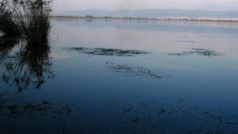 Σέρρες: απαγόρευση του ψαρέματος στη λίμνη Κερκίνη