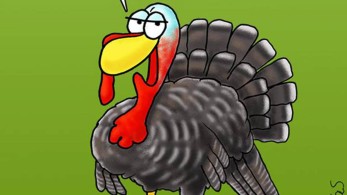 Νίκος Γ. Σακελλαρόπουλος: Περί συνδρόμου γαλοπούλας