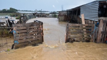 Μεγάλες καταστροφές σε χιλιάδες μελίσσια της Θεσσαλίας λόγω πλημμυρών