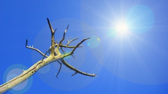 Εξάντληση φυσικών πόρων και συγκρούσεις φέρνει η κλιματική αλλαγή