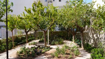 Αθήνα: Στον Άγιο Αρτέμιο το έβδομο πάρκο “τσέπης”-Στόχος τα δέκα έως τα τέλη χρόνου