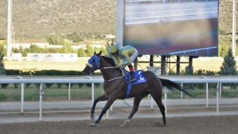 Ο ΝΙΟΥ ΧΟΛΑΝΤ μεγάλος νικητής του 75ου Ελληνικού Ντέρμπι στο Markopoulo Park