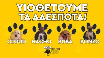ΑΕΚ: Με 8 αδέσποτα κουτάβια θα μπούνε στο γήπεδο οι παίκτες
