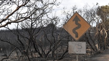 Ανυπολόγιστη η καταστροφή στην Αυστραλία – Νεκρά πάνω από 1 δισ. ζώα