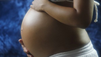 «Χαμός» ανάμεσα σε Φωτεινή Πετρογιάννη και Άρια Καλύβα: «Τι ντροπή είναι αυτή; Μην ευτελίζουμε το θέμα!» «Χαμός» ανάμεσα σε Φωτεινή Πετρογιάννη και Άρια Καλύβα: «Τι ντροπή είναι αυτή; Μην ευτελίζουμε το θέμα!»