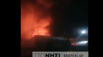 Φωτιά σε δομή υπό τον ΟΗΕ στην Συκαμνιά της Λέσβου (vid)