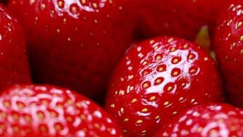 Χαλβάς ψυγείου με φράουλες