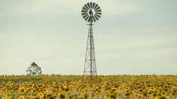 Πράσινη ατζέντα για την Ελλάδα!