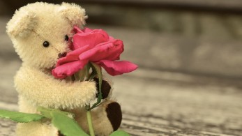 Οικογενειακή τραγωδία στη Χαλκιδική: Πατέρας παρέσυρε και σκότωσε τη 2χρονη κόρη του