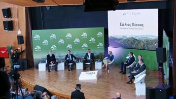 Πέτσας εκτός κειμένου