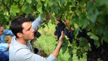 Ενεργοποίηση του νέου Ταμείου Μικροπιστώσεων για τον Αγροδιατροφικό τομέα