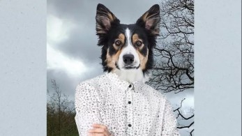 Το κολάρο της ελευθερίας – Μια χριστουγεννιάτικη ιστορία για τα αδέσποτα και την πανδημία