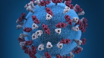 Κορωνοϊός: Τι γνωρίζουμε για τα στελέχη Όμικρον και Δέλτα