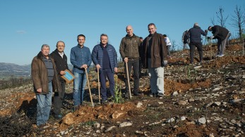 Η Παπαστράτος φυτεύει 70.000 δέντρα σε πυρόπληκτες περιοχές της Αττικής