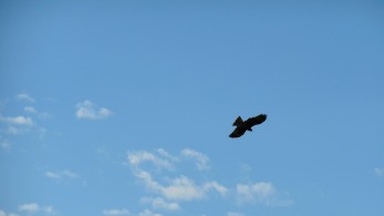 Με ανοιξιάτικο καιρό “φεύγει” το 2021