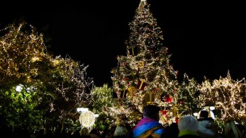 Η Omicron επιβάλλει νέα μέτρα-Συνεδριάζει τη Δευτέρα (27/12) η επιτροπή εμπειρογνωμόνων