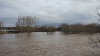 Επικίνδυνη αύξηση της στάθμης του νερού στον ποταμό Έβρο