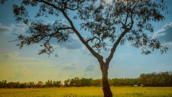 Πολύ καλός ο καιρός αύριο σχεδόν σε όλη τη χώρα