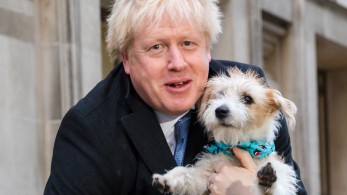 Απίστευτος Τζόνσον: Επικοινωνιακά παιχνίδια με τη μεταφορά κατοικιδίων από την Καμπούλ