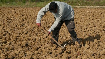 ΥΠΑΑΤ:  25.000 ευρώ για λειτουργικά έξοδα των αγροτών