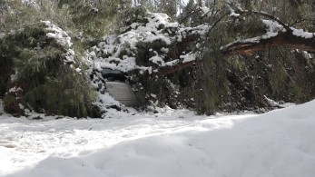 Κανονική η λειτουργία των νοσοκομείων-Χωρίς προβλήματα οι εφημερίες