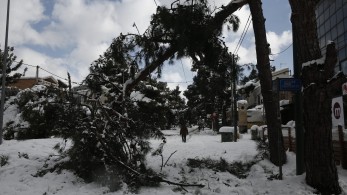 “Παράθυρο” για αποζημιώσεις σε νοικοκυριά που έμειναν χωρίς ρεύμα