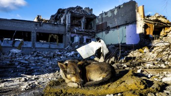 Κώστας Μπακογιάννης: “Η Αθήνα απέναντι στη φρίκη του πολέμου”