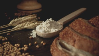 Εισβολή στην Ουκρανία: Καμπανάκι OHE για τους κινδύνους στην παγκόσμια εφοδιαστική αλυσίδα