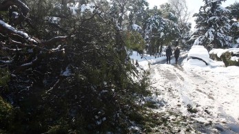 Καιρός: Πολικές θερμοκρασίες-Χιόνια και στην Αττική
