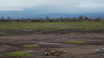 Προιδοποίηση Γκουτέρες: Ο κόσμος βαδίζει “με τα μάτια κλειστά προς την κλιματική καταστροφή”
