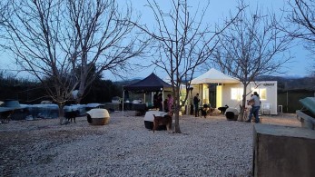 Το κολαστήριο μετατρέπεται σε καταφύγιο: Οργανώσεις, εθελοντές, απλοί πολίτες αλλάζουν τον κυνοκομείο Σπάρτης