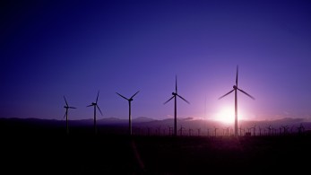 Φρανς Τίμερμανς: Κρατική παρέμβαση για φθηνή ενέργεια