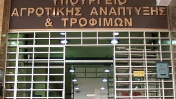 ΥπΑΑΤ: Καμιά μετάδοση σε άνθρωπο της αρρώστιας που έπληξε τους αργυροπελεκάνους