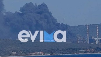 Αλιβέρι: Υπό μερικό έλεγχο φωτιά κοντά στο εργοστάσιο της ΔΕΗ