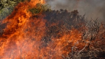 Πυρκαγιά στην Άσκρη Βοιωτίας