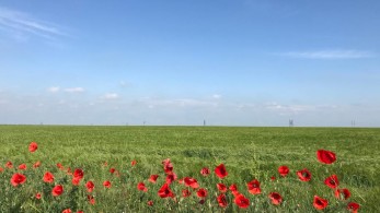 Γράμματα από την Ουκρανία – Μαρτυρίες  από τον πόλεμο