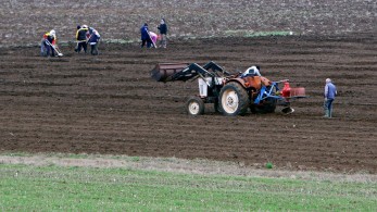 Ποιες αγροτικές εκτάσεις υπό αγρανάπαυση μπορούν να καλλιεργηθούν