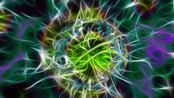 Candida Auris: 2+1 στοιχεία για τον φονικό μύκητα