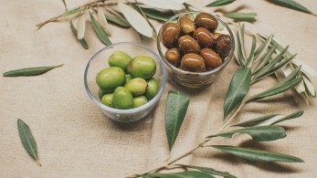 Η Αρχαία Ελληνική διατροφή στο Πανεπιστήμιο του Yale