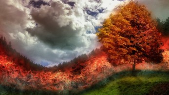 Αντιπυρική περίοδος: Στη μάχη της πρόληψης και ο στρατός-Δασοκομάντος από αρχές Ιουνίου