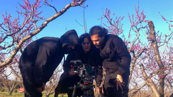 Έτοιμες για τα διεθνή φεστιβάλ οι ροδακινιές της Ημαθίας