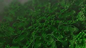 Μύκητας Candida auris: Πόσο πρέπει να ανησυχούμε