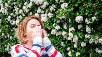 Αλλεργίες: Η κλιματική αλλαγή φέρνει τα συμπτώματα νωρίτερα και αυξάνει την ταλαιπωρία